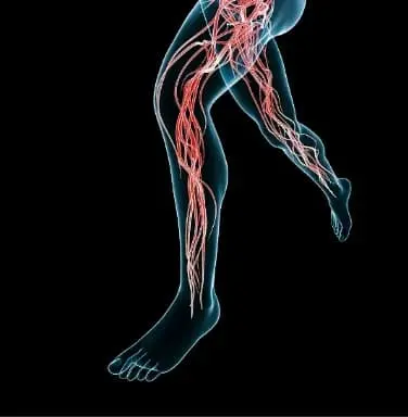 Where to buy Venoten