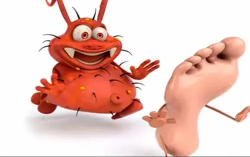 Cena Mikoherb w aptece Del Ahorro